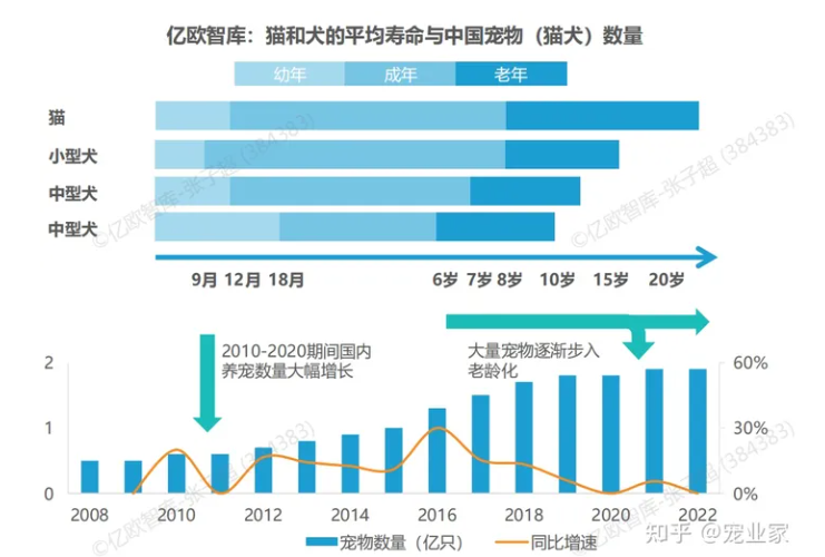 宠物品牌优倍滋，如何对“老年犬猫”主粮市场进行创新？